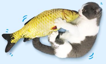 360Home Simulierte Karpfen Fisch Plüschkissen Katzenspielzeug